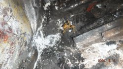 200805 57 Porsche (16).JPG